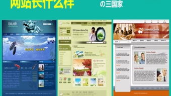 網站建設 構建數字世界的基石